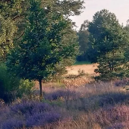 Holiday home Schnuckenheide Dedelstorf