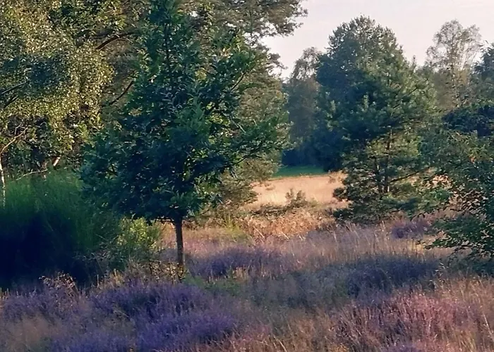 Feriehus Schnuckenheide Dedelstorf